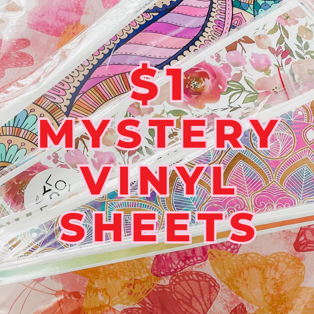 $1 Mystery Vinyl Sheets